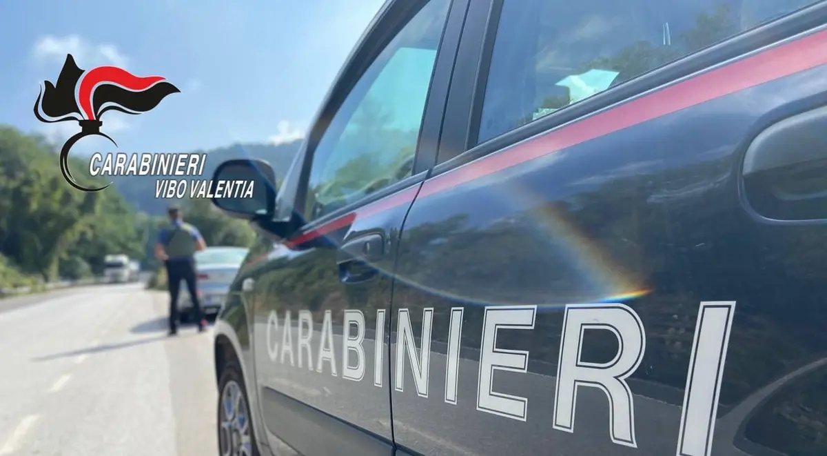 Picchiata e rapinata dell’auto nel Vibonese: arrestati dai carabinieri due giovani - Video