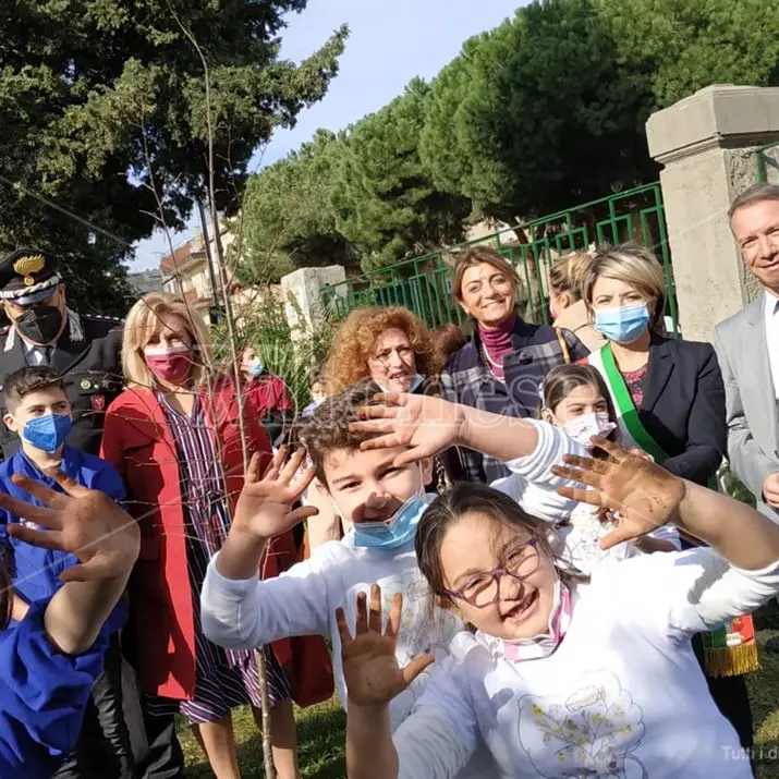 Anche Vibo ha il suo albero dedicato a Giovanni Falcone: «Germogli di speranza» -Video