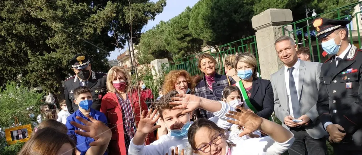 Anche Vibo ha il suo albero dedicato a Giovanni Falcone: «Germogli di speranza» -Video