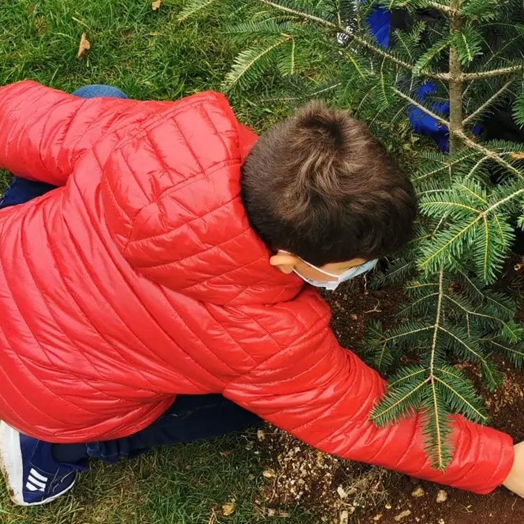 Festa degli alberi a Serra: davanti alla Certosa la piantumazione con i bambini