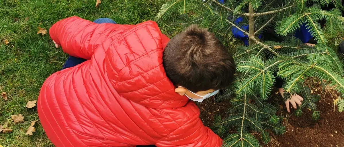 Festa degli alberi a Serra: davanti alla Certosa la piantumazione con i bambini