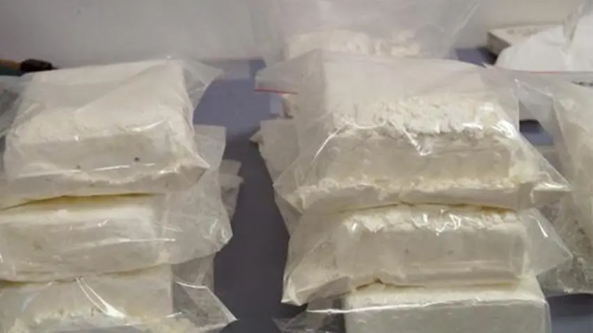 Nuovo colpo della Dda di Milano alla \\'ndrangheta. \\u00C8 in corso dalle prime ore di stamani una operazione dei Carabinieri del comando provinciale di Milano e del Ros che stanno eseguendo misure nei confronti di 21 persone accusate a vario titolo di associazione finalizzata al traffico di stupefacenti, aggravata dal metodo mafioso. Le catture riguardano le province di Milano, Monza e Brianza, Perugia, Alessandria, Catanzaro, Roma, Varese e Vercelli. Provvedimenti sono stati eseguiti anche in Germania. ANSA/UFFICIO STAMPA CARABINIERI ++ NO SALES, EDITORIAL USE ONLY ++ , ANSA