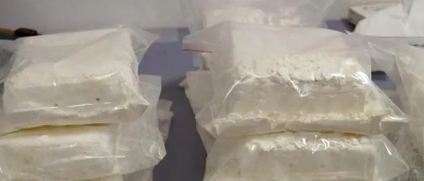 Narcotraffico, arresti e sequestrate tonnellate di cocaina: blitz pure nel Vibonese - Nomi