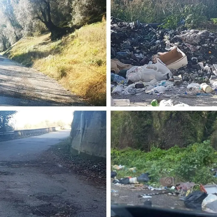 Strade infernali: viaggio lungo la Sp 11 Cessaniti-Vibo tra voragini, rifiuti e degrado