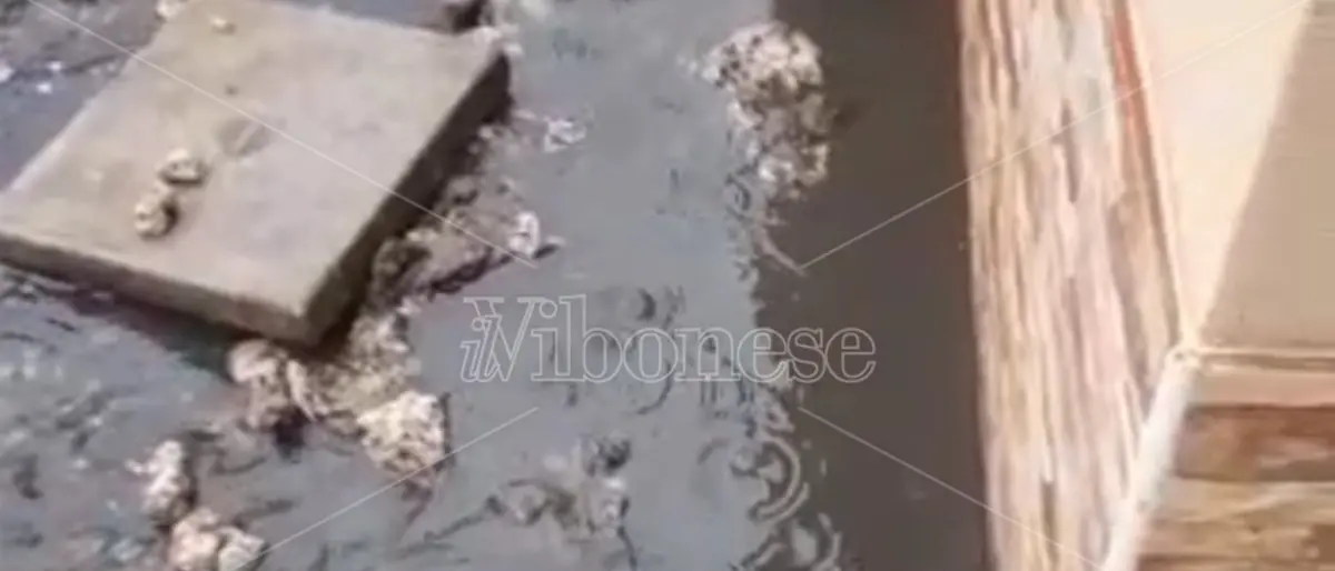 Vibo Marina, un intero quartiere ostaggio della fogna: «Siamo esasperati, non ne possiamo più»