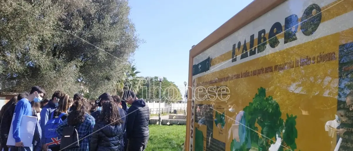 Giornata degli alberi a Vibo: «Si può conoscere e ammirare la natura anche restando in città»