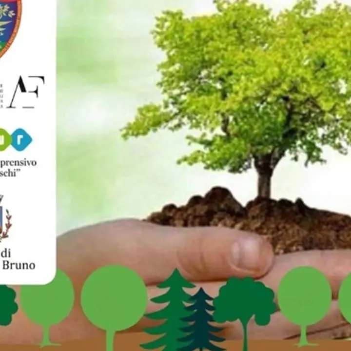 Serra San Bruno, tutto pronto per la Giornata nazionale degli alberi