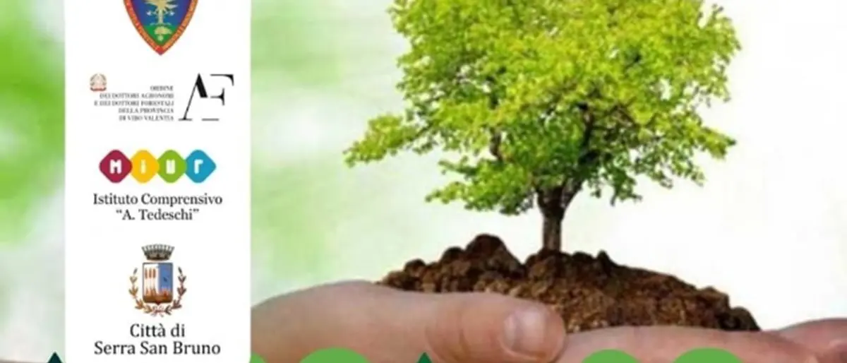Serra San Bruno, tutto pronto per la Giornata nazionale degli alberi
