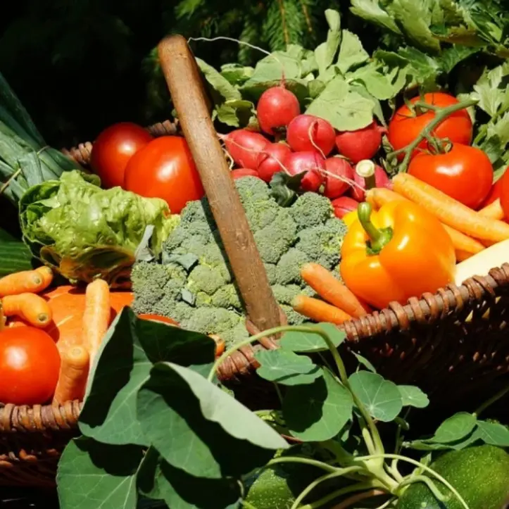 Agricoltura, pronti 5 milioni di euro dalla Regione per ammodernare le aziende