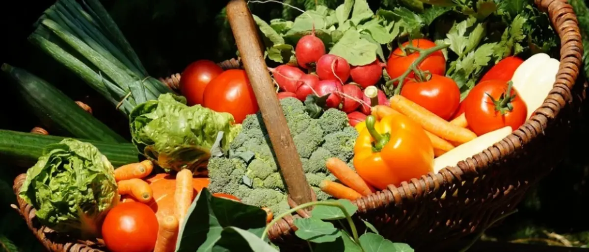 Giornata della Biodiversità, a Vibo occhi puntati sulle coltivazioni naturali