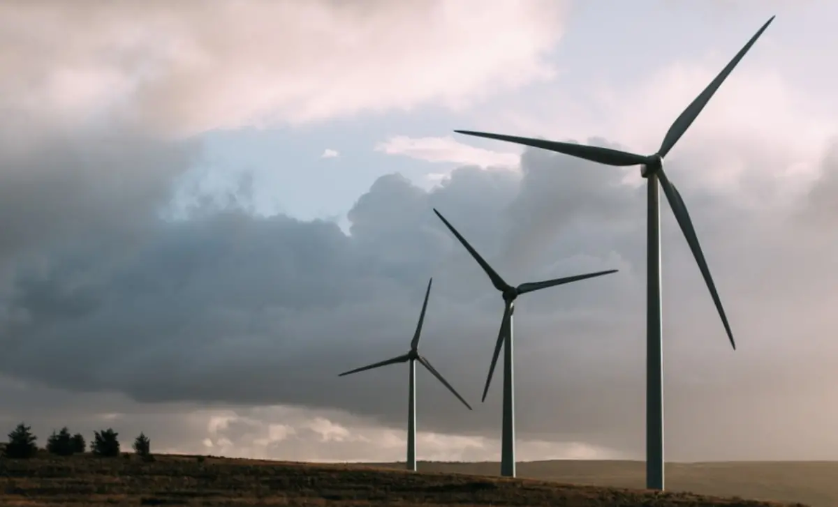 Parco eolico nelle Serre, Incrociamenti ribadisce il suo no e rilancia l'idea di una marcia silenziosa per l'ambiente