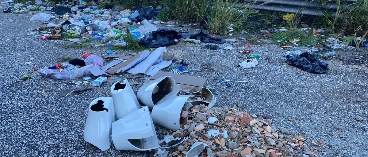 Zambrone, la minoranza: «Provinciale 83 abbandonata tra rifiuti e canneti» - Foto