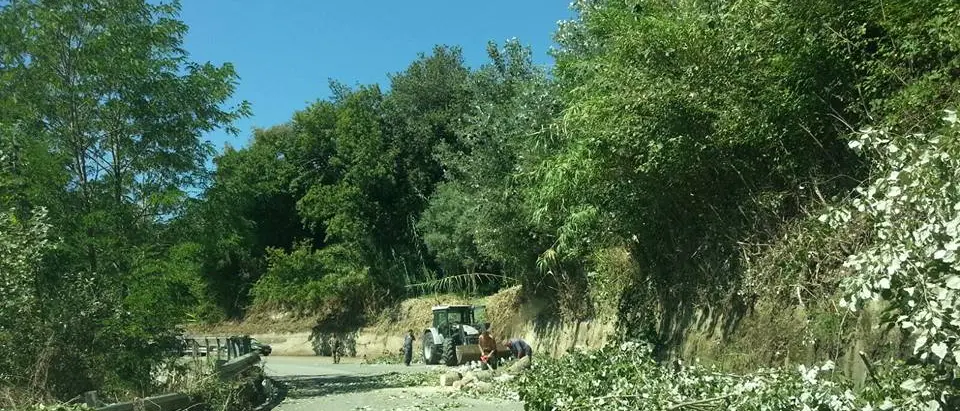 Buche e sterpaglie sulla strada provinciale, intervengono i cittadini