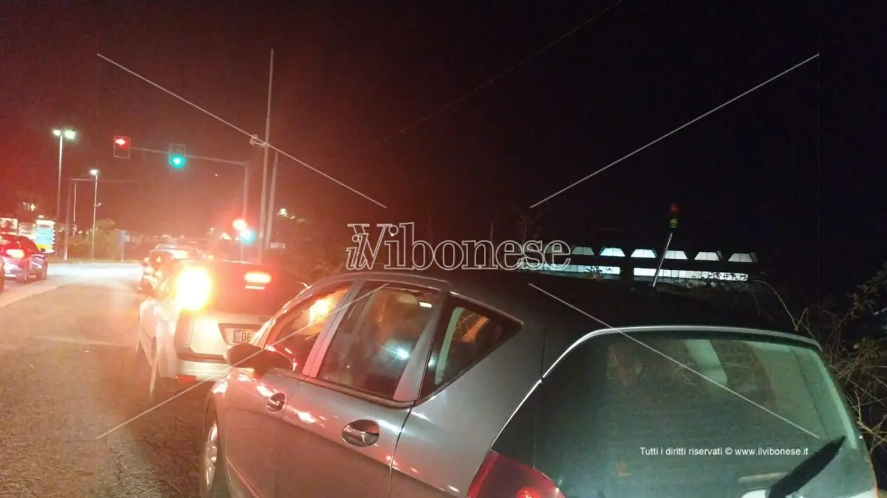 Test rapidi sugli studenti, a Vibo file infinite e traffico in tilt