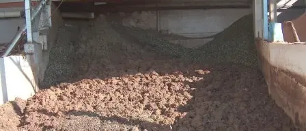 Smaltimento illecito di sansa, denunciato imprenditore