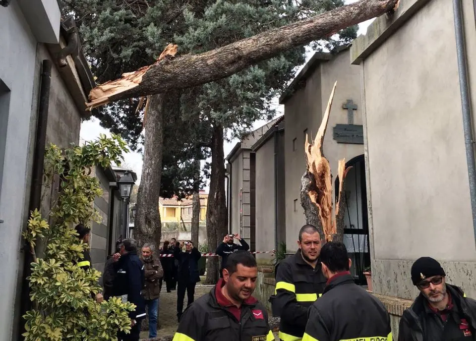 Vento forte, alberi abbattuti anche nel cimitero di Piscopio - FOTO
