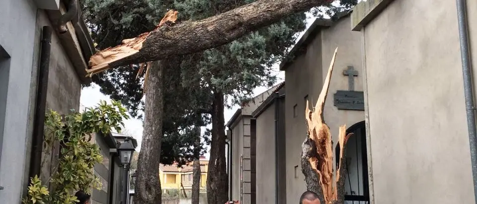 Vento forte, alberi abbattuti anche nel cimitero di Piscopio - FOTO