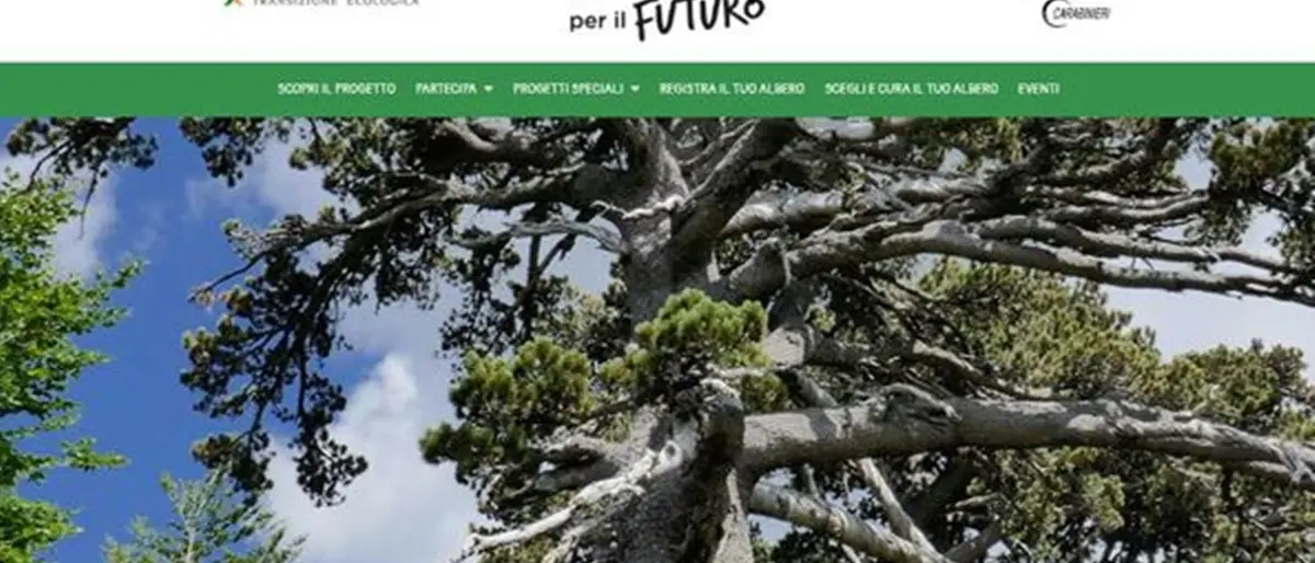 Tropea, il Comune aderisce al progetto nazionale “Un albero per il futuro”