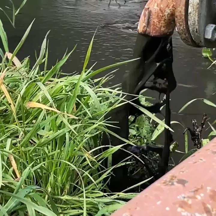 Reati ambientali: la Calabria maglia nera: è quinta nella classifica nazionale