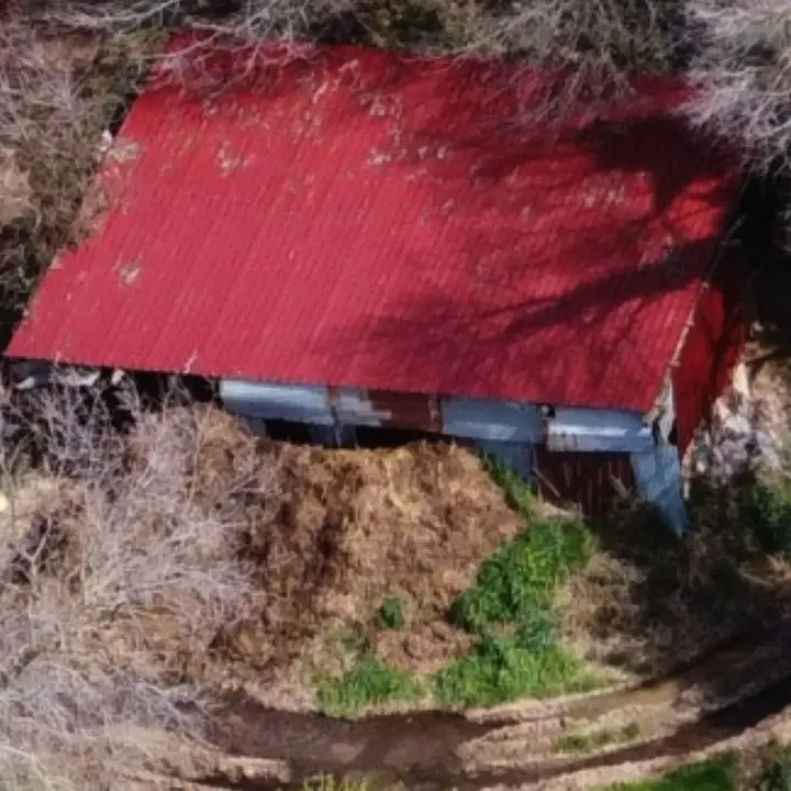 Rombiolo, rifiuti dell’allevamento scaricati nei terreni: denunciata titolare