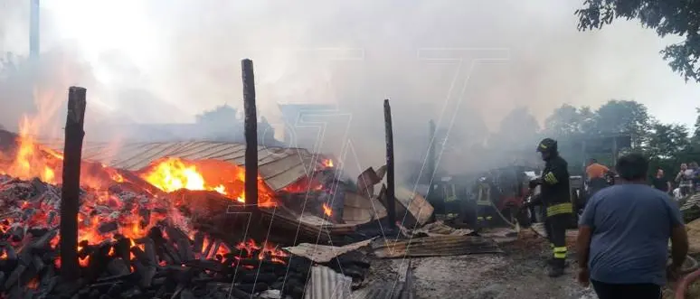 Fienile distrutto da un incendio a San Costantino, i proprietari mettono in salvo gli animali (FOTO)
