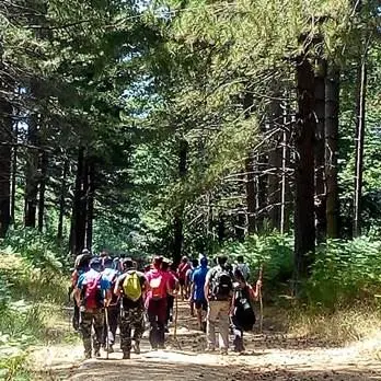 Grande partecipazione al secondo “Trekking day”, da Cardinale ai boschi vibonesi