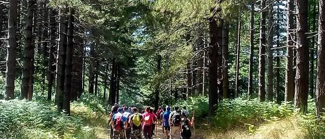 Turismo inclusivo e accessibile a Serra San Bruno con il trekking lungo il sentiero Frassati