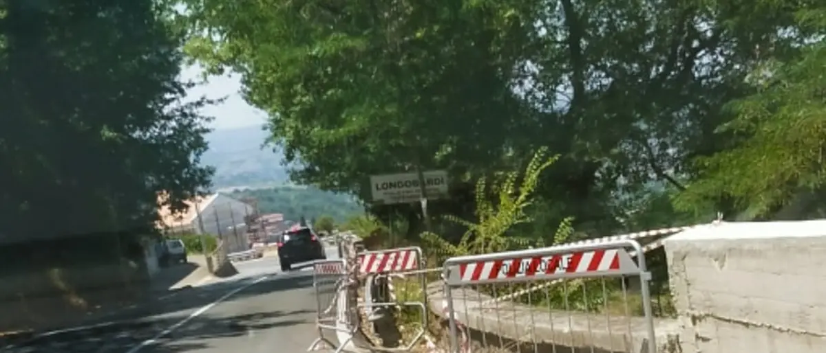 A Longobardi e Contrada Silica di Vibo viabilità precaria, la denuncia di Ilaria Cosentino (Azione)