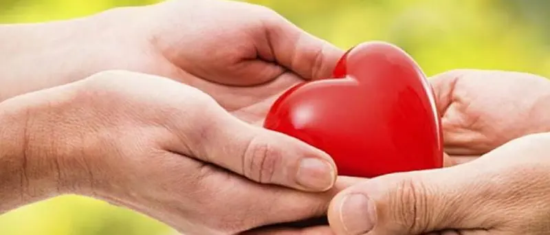 Donazione degli organi: i vibonesi e le loro storie d’amore