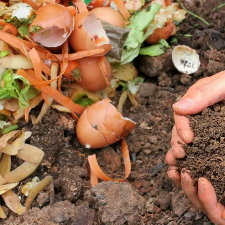 San Calogero, sconti sulla Tari per chi effettua il compostaggio domestico