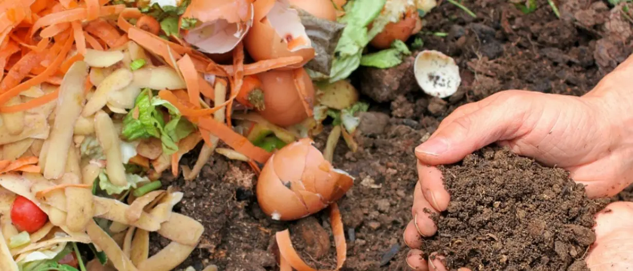San Calogero, sconti sulla Tari per chi effettua il compostaggio domestico