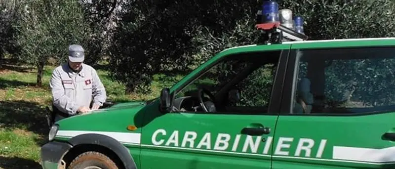 Rinvenuti cumuli di rifiuti speciali nel Vibonese: sanzioni dai carabinieri