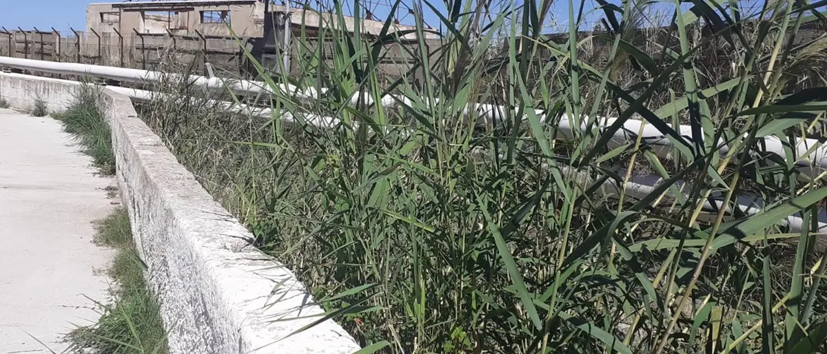 Vibo Marina, De Pinto (Lega): «Fosso La Badessa un rischio per la popolazione»