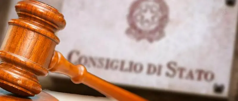 Danni dal Mise, Vibo Sviluppo annuncia ricorso contro la sentenza del Tar