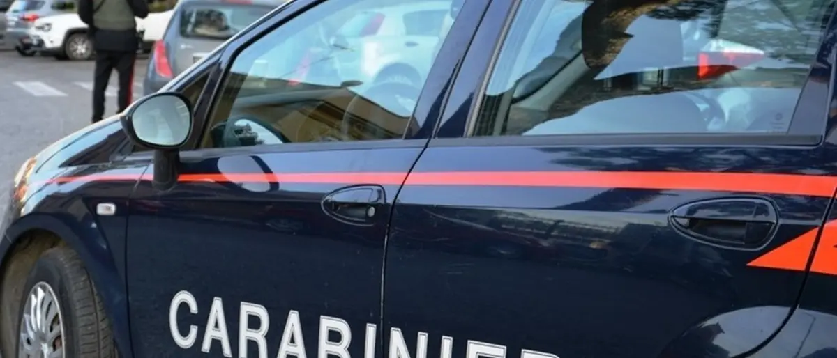 Duplice omicidio nelle campagne di Castrovillari: un arresto