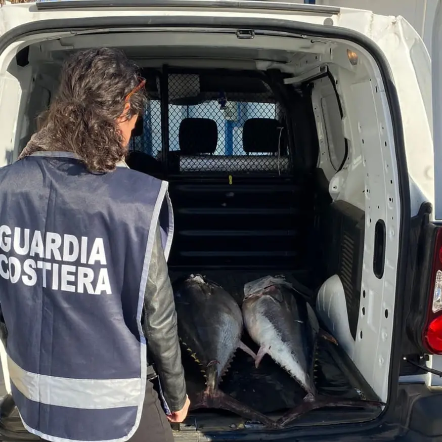Pesca illegale: dalla Guardia Costiera di Vibo Marina sanzioni e sequestri