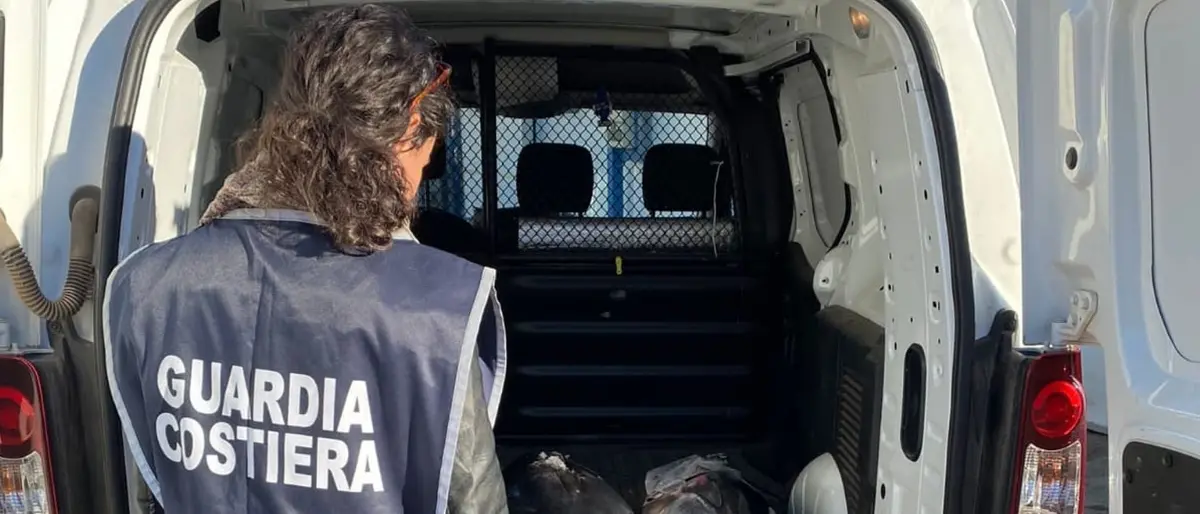 Pesca illegale: dalla Guardia Costiera di Vibo Marina sanzioni e sequestri