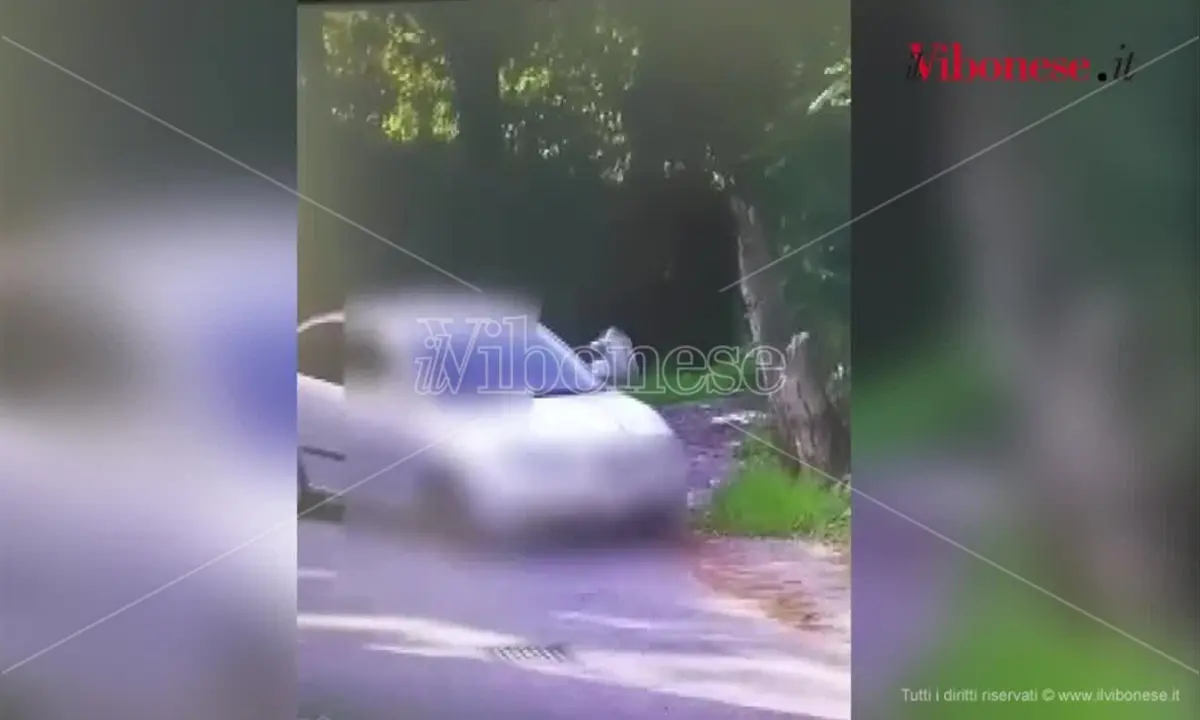 Vibo: automobilista beccato dalle foto trappole installate dal Comune mentre lancia un sacchetto - Video