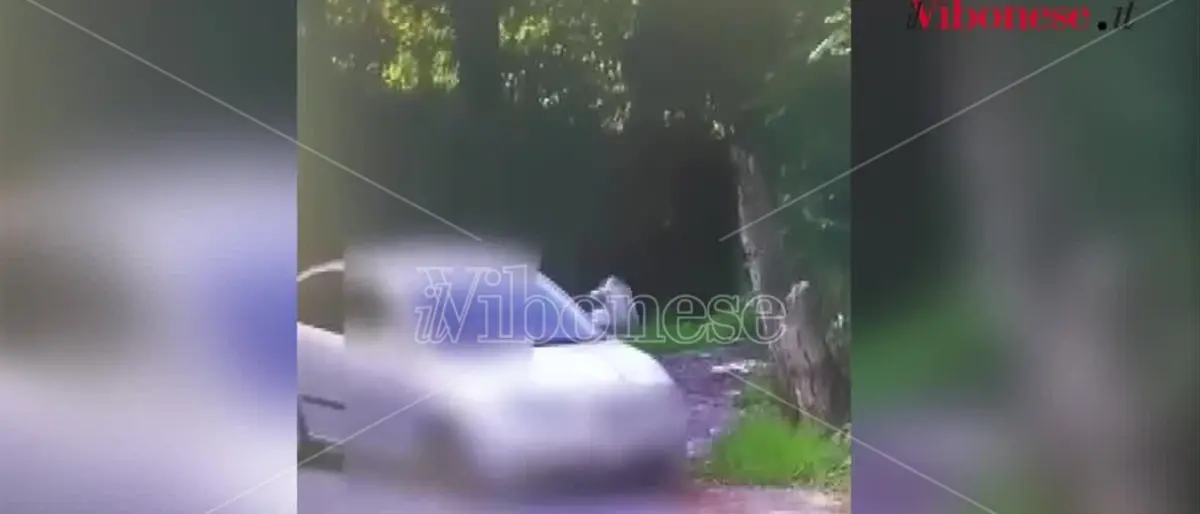 Vibo: automobilista beccato dalle foto trappole installate dal Comune mentre lancia un sacchetto - Video