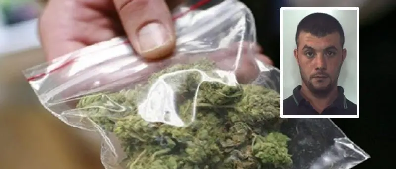 “Giardini segreti”: due condanne a Vibo e quattro proscioglimenti