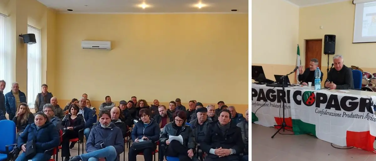 Agricoltura, gli imprenditori vibonesi: «Settore primario martoriato dalla burocrazia»