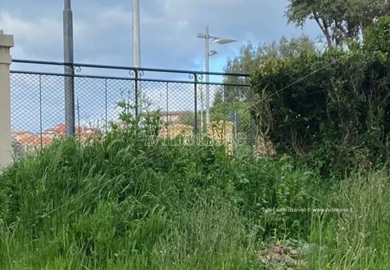 Villa comunale di Vibo Valentia nell'abbandono, la denuncia del consigliere Miceli - Foto