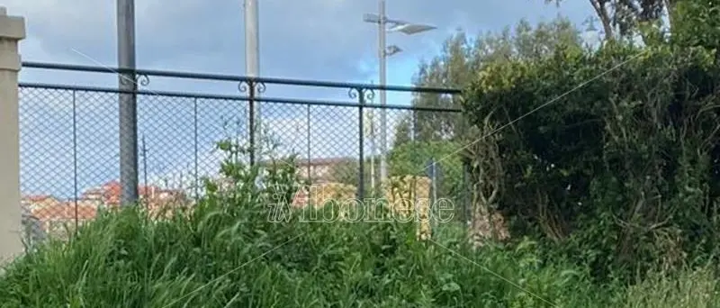 Villa comunale di Vibo Valentia nell'abbandono, la denuncia del consigliere Miceli - Foto