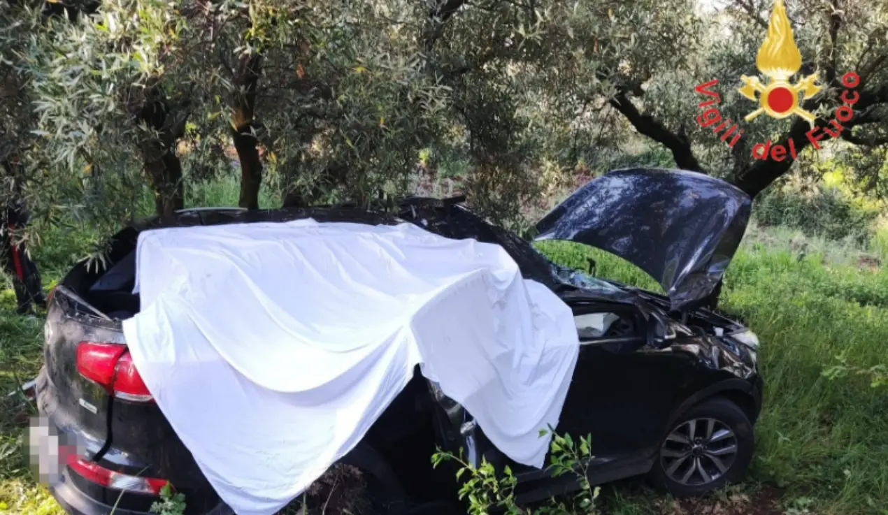 Incidente all’alba nel Catanzarese, auto finisce contro un albero: un morto