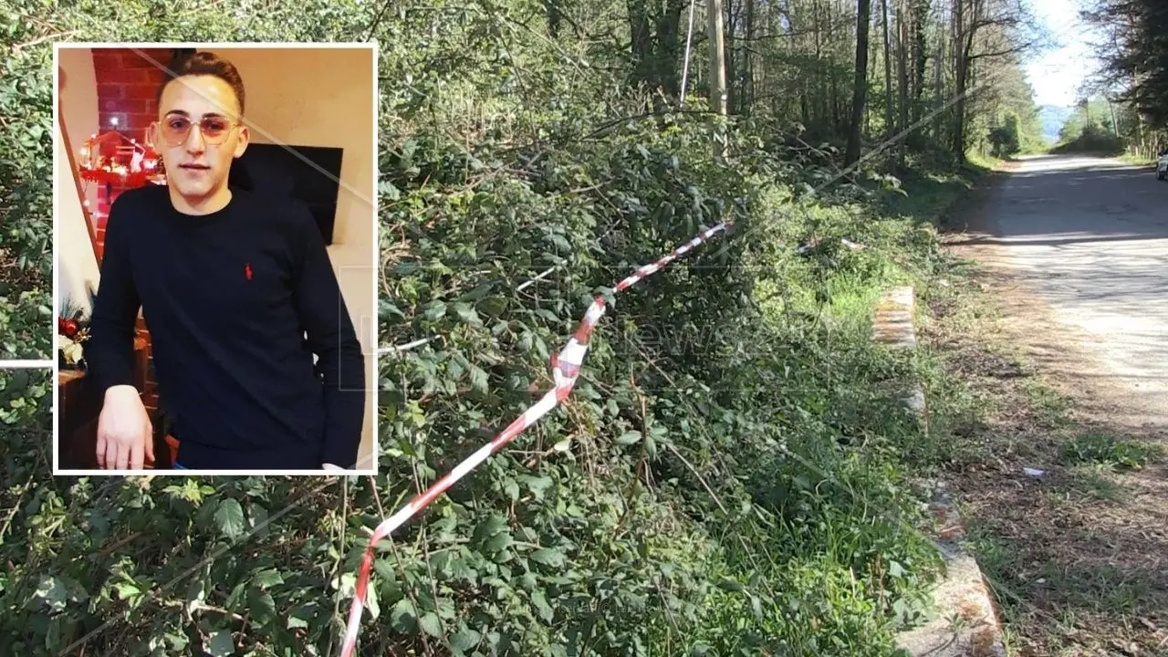 Omicidio Oppedisano, parla la zia: «Era un bravo ragazzo, solo casa e lavoro» - Video