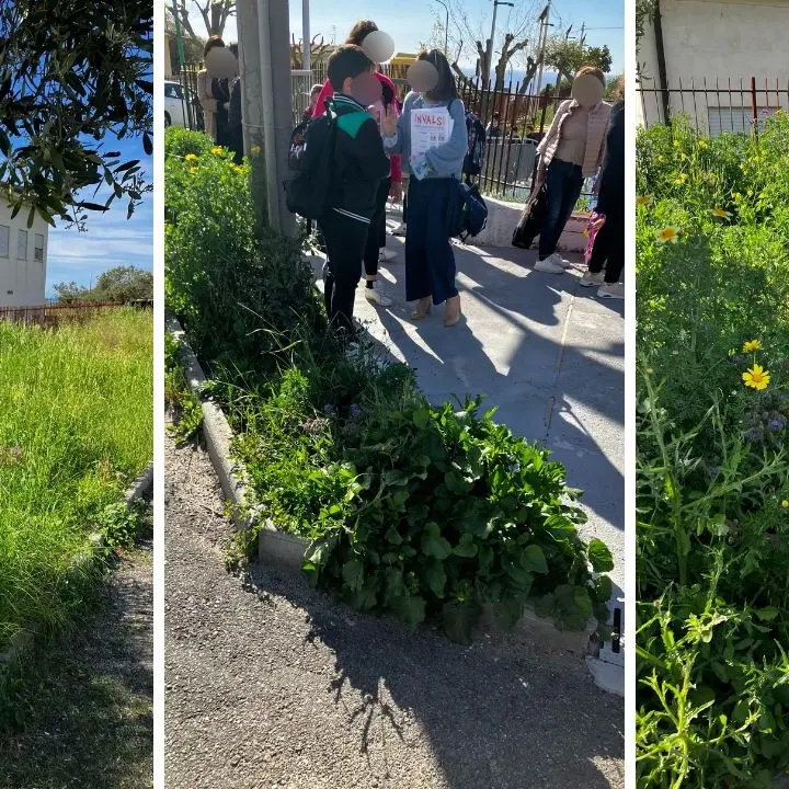 Degrado nel cortile e nei pressi della scuola di Ricadi, l’opposizione: «S’intervenga»