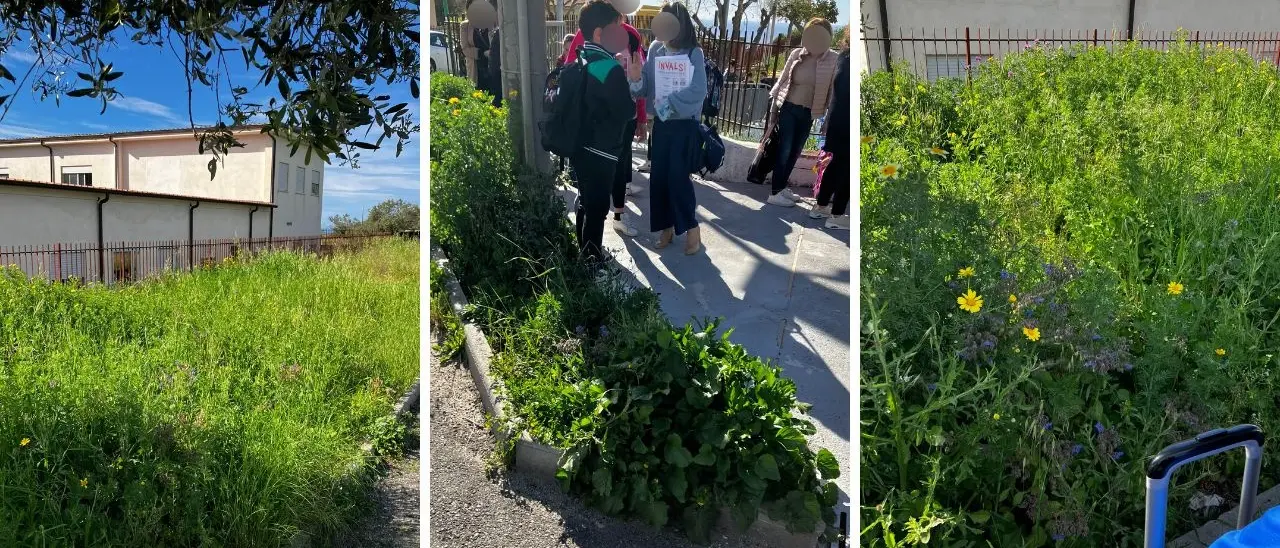 Degrado nel cortile e nei pressi della scuola di Ricadi, l’opposizione: «S’intervenga»