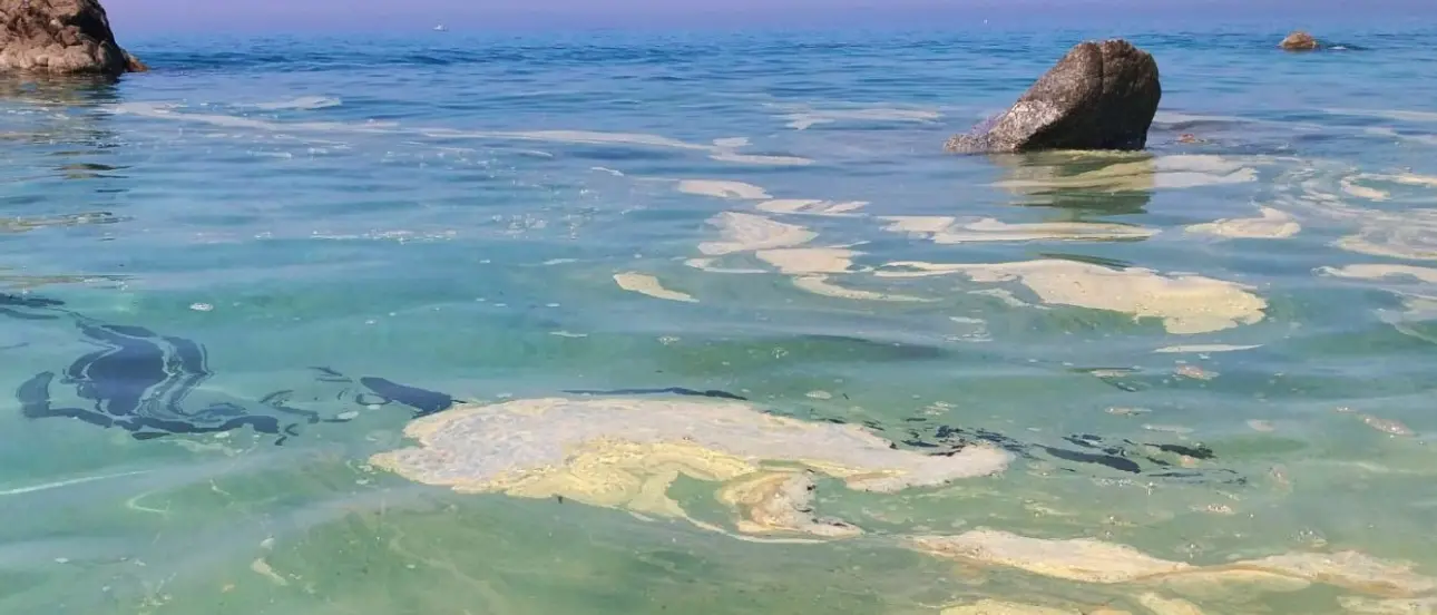 «Mare azzurro a chiazze gialle», la segnalazione dalla spiaggia di Parghelia
