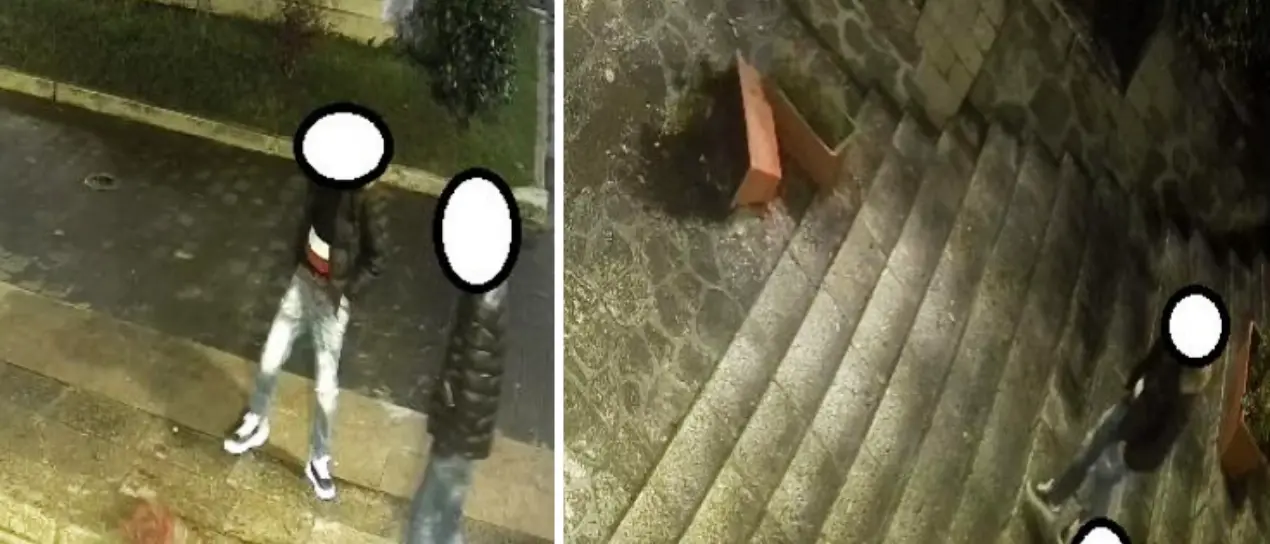 Vibo, denunciati i ragazzi che danneggiarono le fioriere poste lungo la scalinata Versace