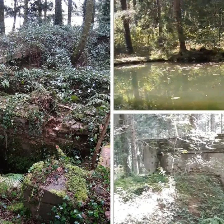 Alla scoperta dell’antica cartiera con l’escursione di “Vivi Serra San Bruno”